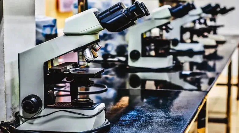 4 Most Popular Types of Microscopes (With Picture) for Adults Child