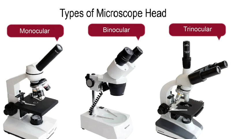 How to Elect Among Monocular Binocular Trinocular Microscopes