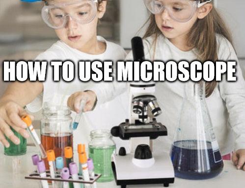 How to Use a Stereo Microscope Quickly