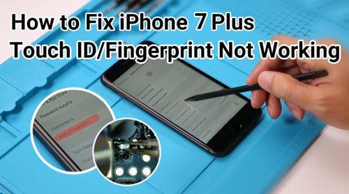 Touch ID Not Working On iPhone 7 Plus – How To Fix?
