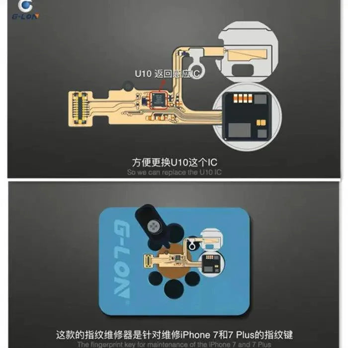 PHONEFIX G-Lon Home Button Flex U10 IC motherboard test fixture for iPhone 7 and 7 Plus, used for replacement and testing.